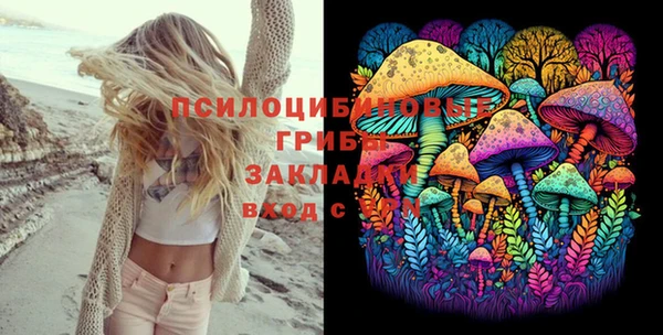 мдпв Беломорск
