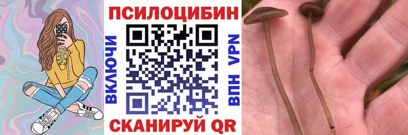 Галлюциногенные грибы мухоморы Кохма