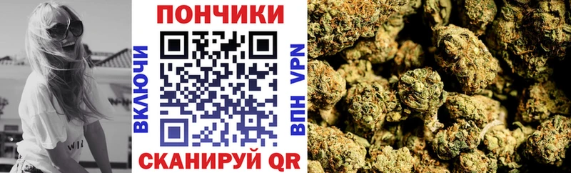 где можно купить   Кохма  МАРИХУАНА сатива 
